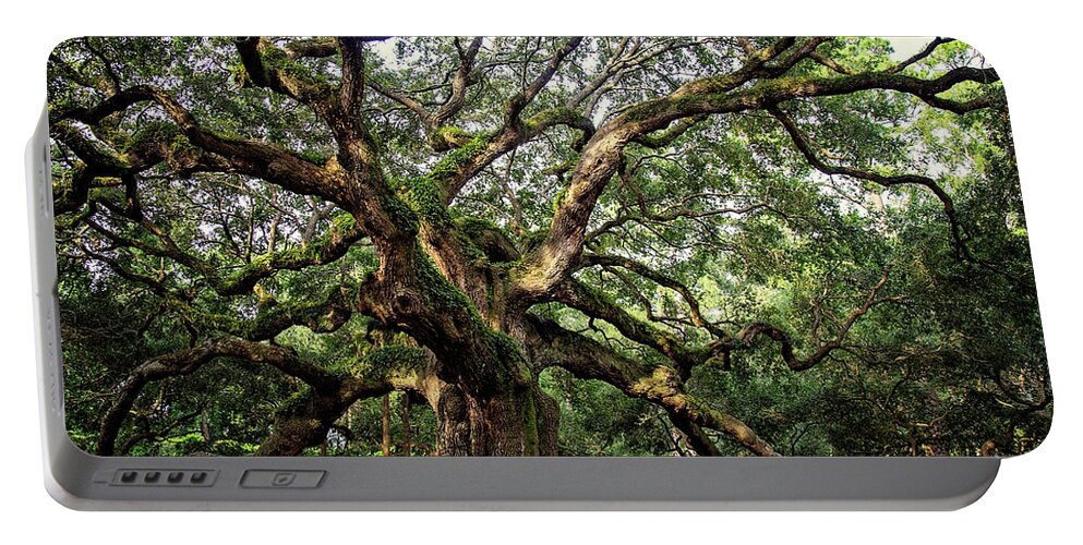 Carolinas Portable Battery Charger featuring the photograph Angel Oak Tree by Lana Trussell
