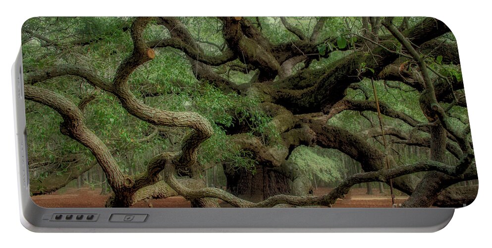 Angel Oak Tree Portable Battery Charger featuring the photograph Angel Time Curls by Dale Powell