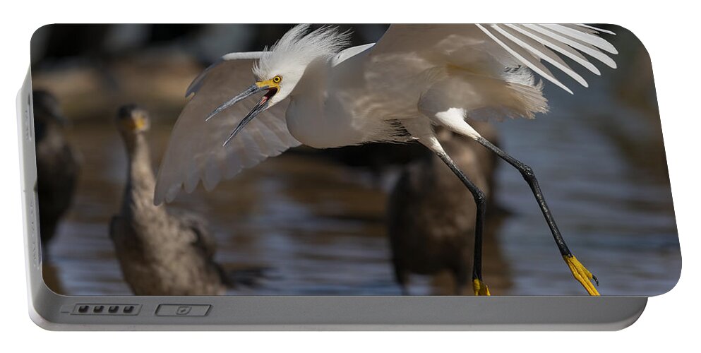  Portable Battery Charger featuring the photograph Angry Snowy. by Paul Martin