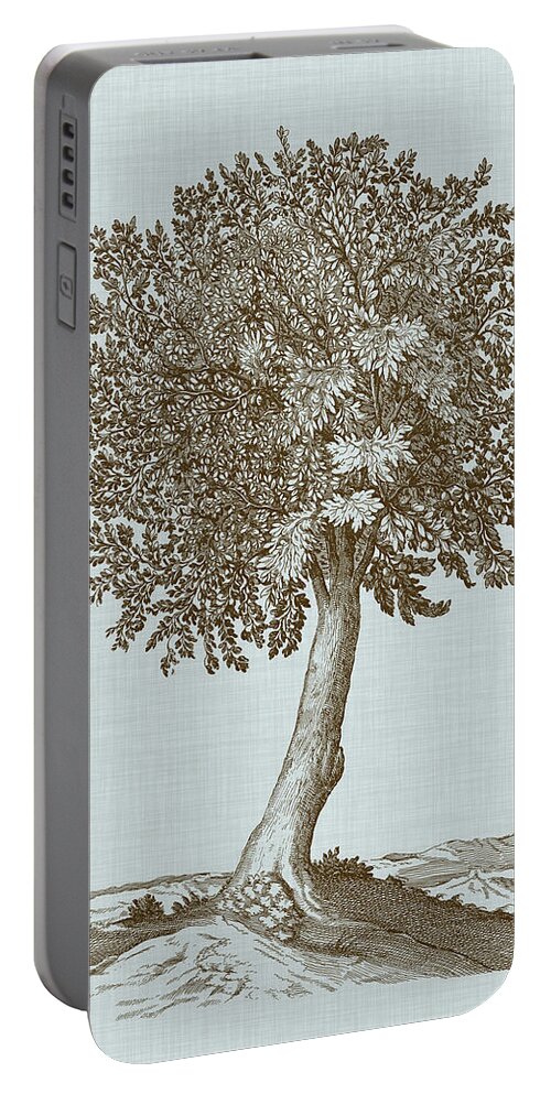 Botanical Portable Battery Charger featuring the painting Antique Tree In Sepia I by Vision Studio