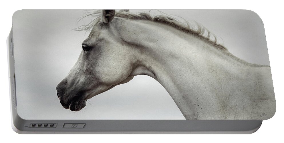 Horse Portable Battery Charger featuring the photograph Arabian Horse Portrait by Dimitar Hristov