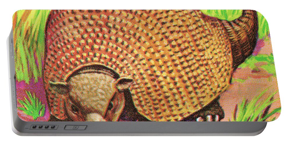 Animal Portable Battery Charger featuring the drawing Armadillo by CSA Images