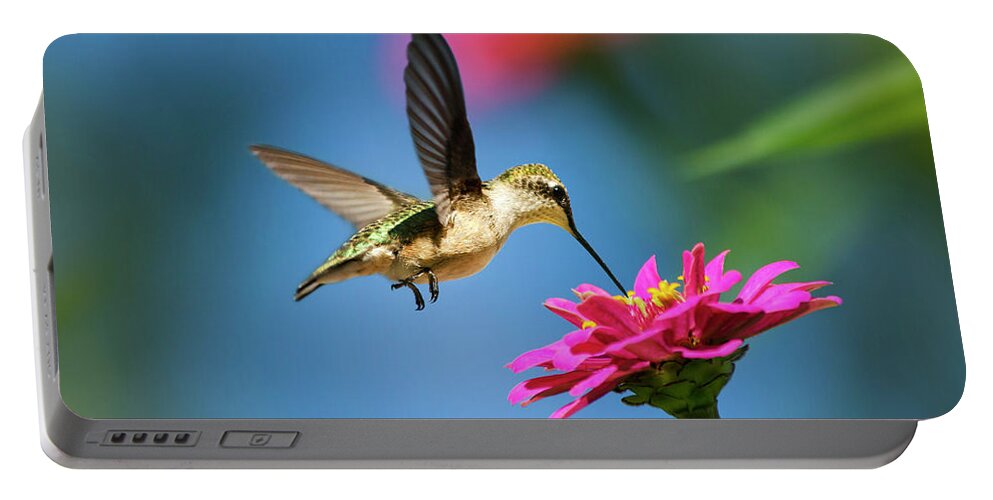 Hummingbird Portable Battery Charger featuring the photograph Art of Hummingbird Flight by Christina Rollo