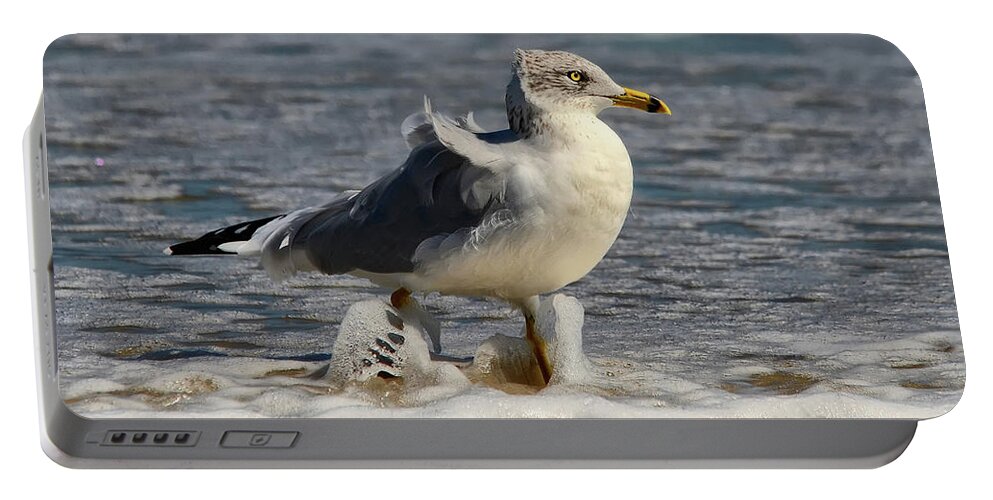 Seagull Portable Battery Charger featuring the photograph A Stroll In The Surf by Lois Bryan