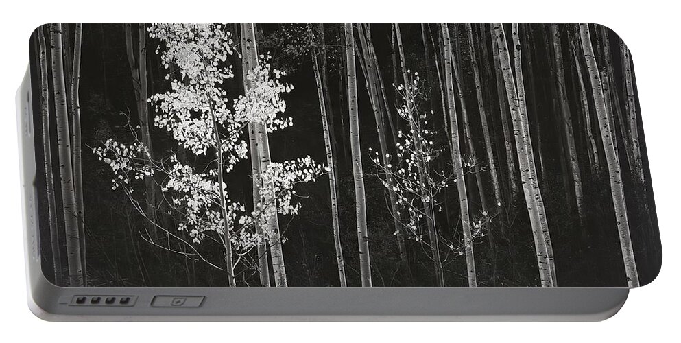 Ansel Adams Portable Battery Charger featuring the digital art Aspens Northern New Mexico by Ansel Adams