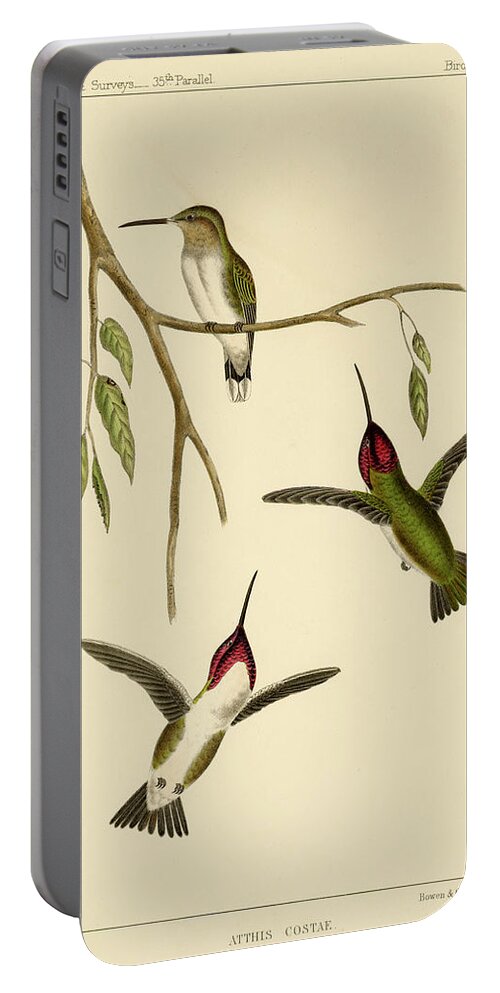 Birds Portable Battery Charger featuring the mixed media Atthis Costae by Bowen and Co lith and col Phila