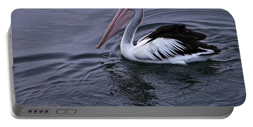 Wildlife Portable Battery Charger featuring the photograph Australian Pelican by Martin Smith