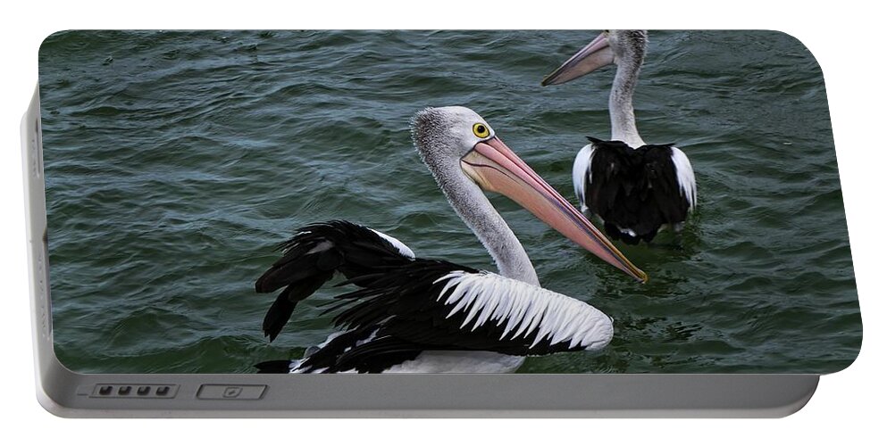 Wildlife Portable Battery Charger featuring the photograph Australian Pelicans by Martin Smith