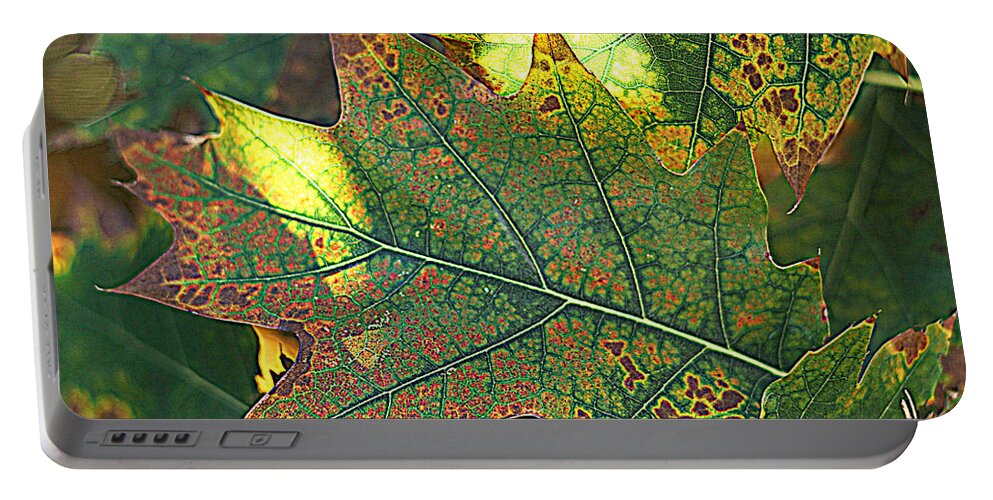 Leaves Portable Battery Charger featuring the photograph Autumn 1 by Jolly Van der Velden
