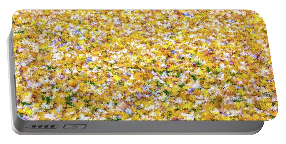 David Letts Portable Battery Charger featuring the photograph Autumn Abstract by David Letts