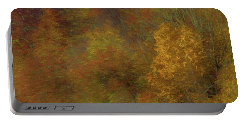 Autumn Portable Battery Charger featuring the photograph Autumn by Alan Goldberg