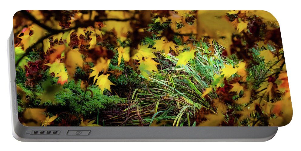 Tree Portable Battery Charger featuring the photograph Autumn Branches by Christopher Maxum
