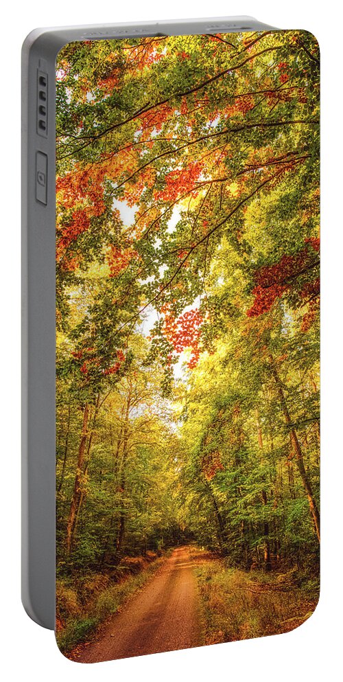Autumn Portable Battery Charger featuring the photograph Autumn Colorful Path by Philippe Sainte-Laudy