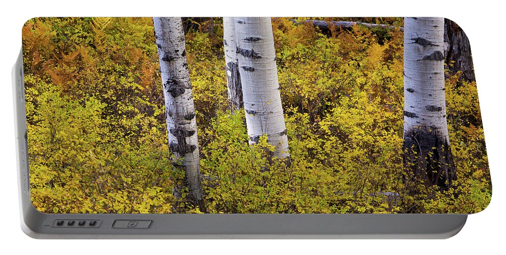 America Portable Battery Charger featuring the photograph Autumn Contrasts by John De Bord