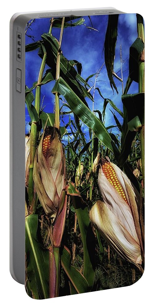 Autumn Portable Battery Charger featuring the photograph Autumn Corn by Karl Anderson