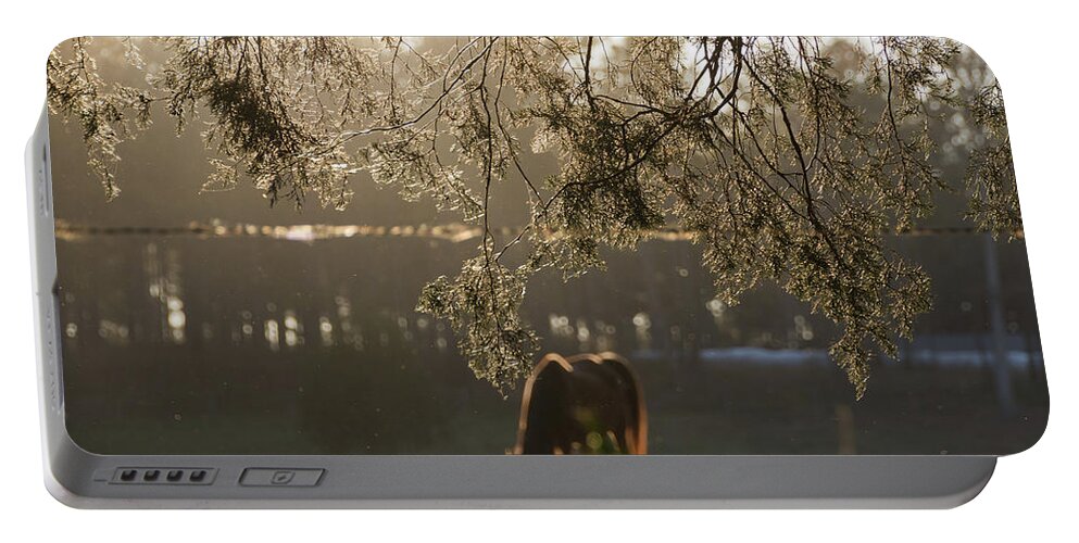 Silhouette Portable Battery Charger featuring the photograph Autumn Feelings 2 by Andrea Anderegg