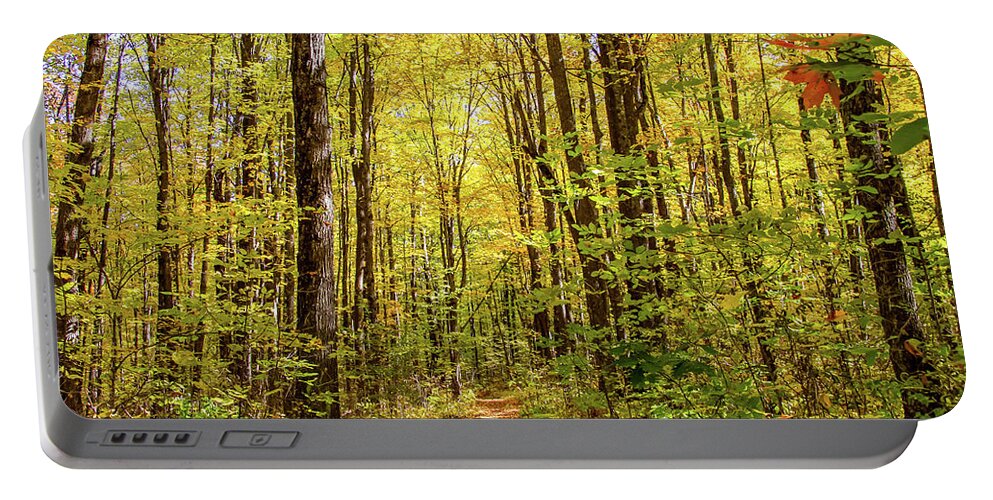 Autumn Colors Portable Battery Charger featuring the photograph Autumn Hike by Dawn Richards