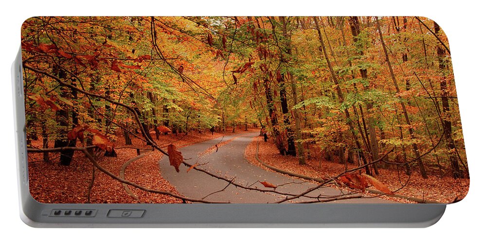 Autumn Portable Battery Charger featuring the photograph Autumn In Holmdel Park by Angie Tirado