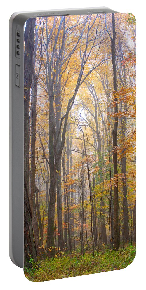Art Prints Portable Battery Charger featuring the photograph Autumn in the Smoky Mountains by Nunweiler Photography