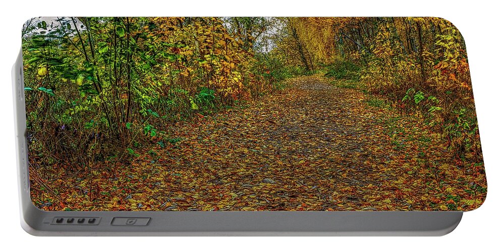 Autumn On Path Portable Battery Charger featuring the photograph Autumn on path #j2 by Leif Sohlman