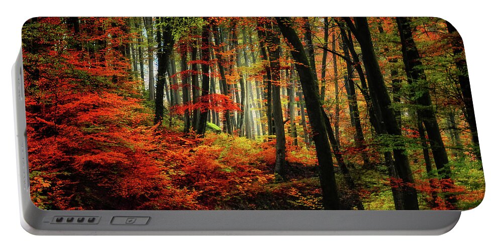 Autumn Portable Battery Charger featuring the photograph Autumn Road by Philippe Sainte-Laudy