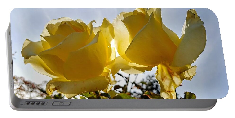 Roses Portable Battery Charger featuring the photograph Autumn Roses by Darrell MacIver