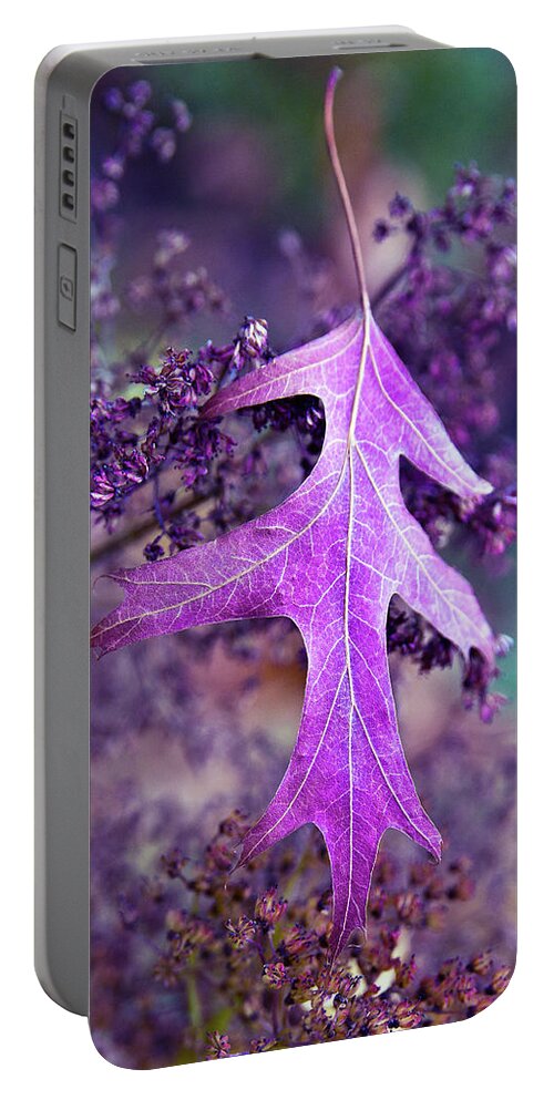 Autumnal Portable Battery Charger featuring the photograph Autumnal Ultra Violet Sound by Silva Wischeropp