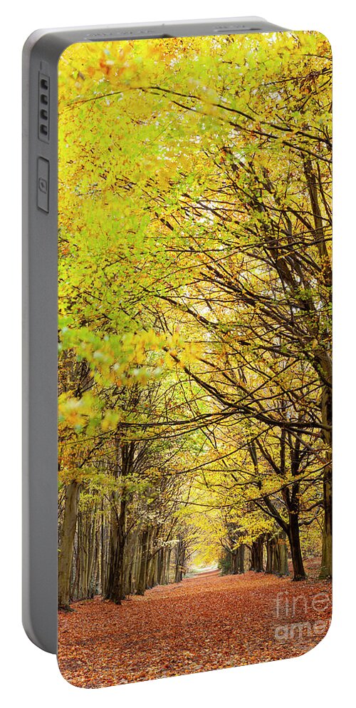 Autumn Portable Battery Charger featuring the photograph Avenue of autumn trees with golden leaves by Simon Bratt