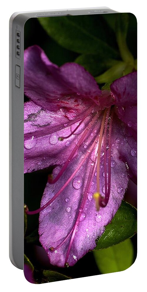 Botanical Portable Battery Charger featuring the photograph Azalea Easter by Richard Thomas
