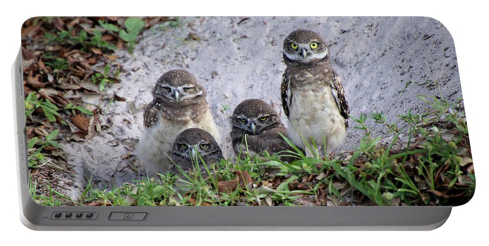 Baby Portable Battery Charger featuring the photograph Baby Burrowing Owls Posing by Rosalie Scanlon