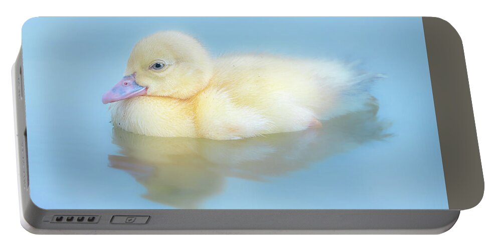 Duck Portable Battery Charger featuring the photograph Baby Duck by Jordan Hill