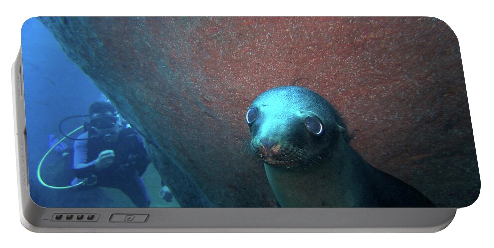 Sea Lion Portable Battery Charger featuring the photograph Baby Lobo Marino by Becqi Sherman