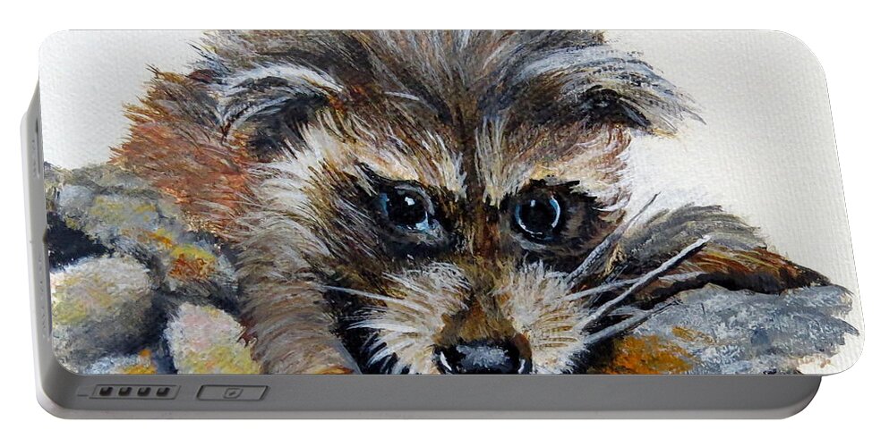 Raccoon Portable Battery Charger featuring the painting Baby Raccoon by Marilyn McNish
