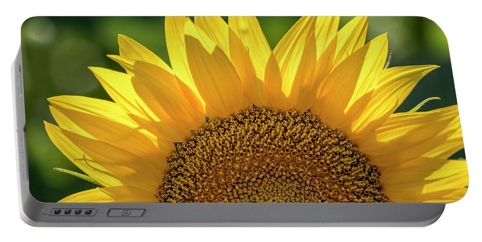 Colorado Portable Battery Charger featuring the photograph Backlit Sunflower Bloom by Teri Virbickis