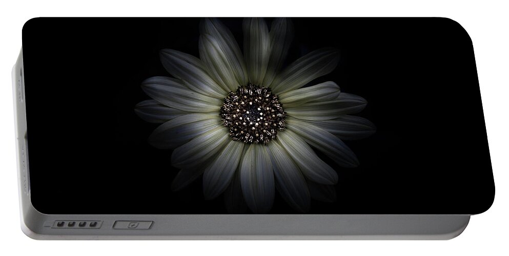 Brian Carson Portable Battery Charger featuring the photograph Backyard Flowers 27 Color Version by Brian Carson