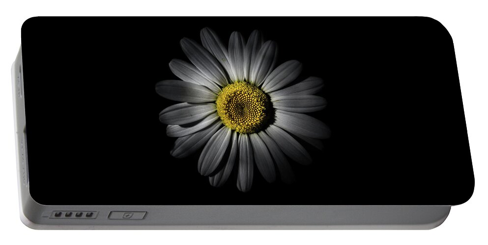 Brian Carson Portable Battery Charger featuring the photograph Backyard Flowers 52 Color Version by Brian Carson