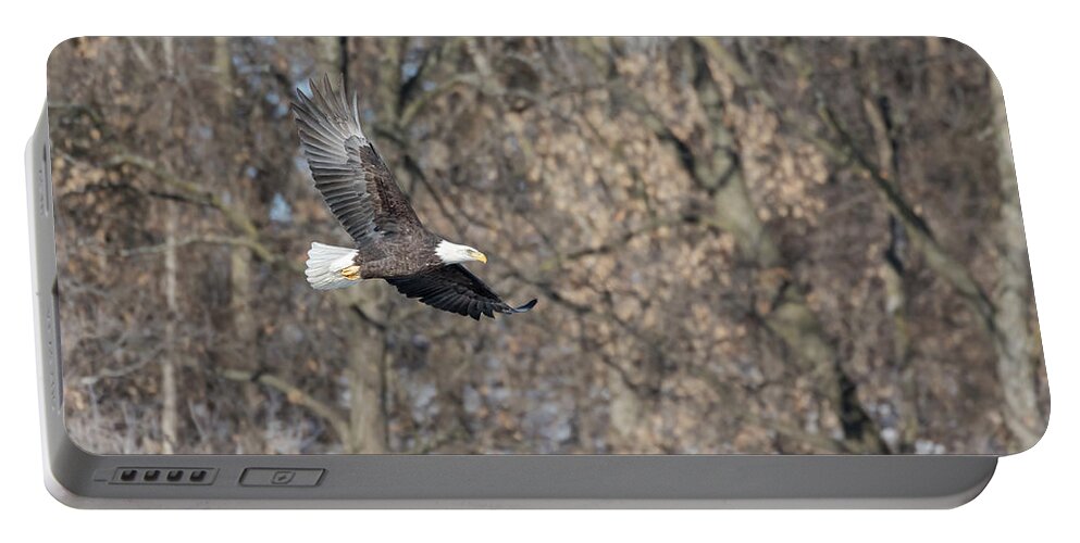 Bald Eagle Portable Battery Charger featuring the photograph Bald Eagle 2018-10 by Thomas Young