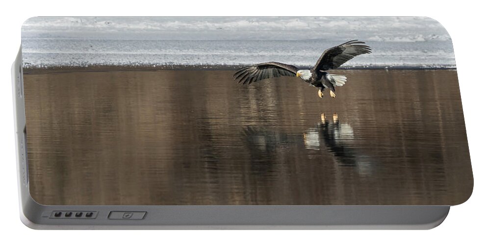Bald Eagle Portable Battery Charger featuring the photograph Bald Eagle 2018-15 by Thomas Young