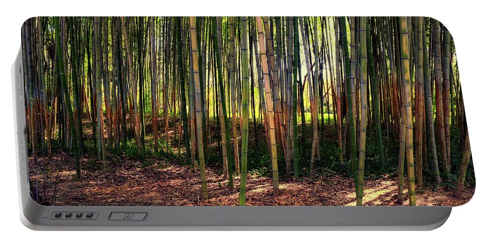 Forest Portable Battery Charger featuring the photograph Bamboo Forest by Frank Wilson