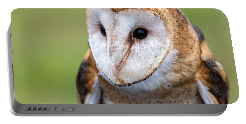 Photography Portable Battery Charger featuring the photograph Barn Owl by Alma Danison