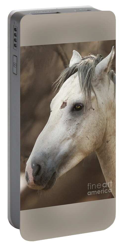 Battle Scars Portable Battery Charger featuring the photograph Battle Scars by Shannon Hastings