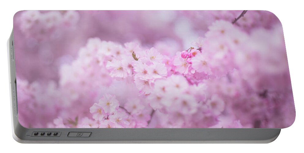 Portland Cherry Blossoms Portable Battery Charger featuring the photograph Be kind to those near you by Kunal Mehra