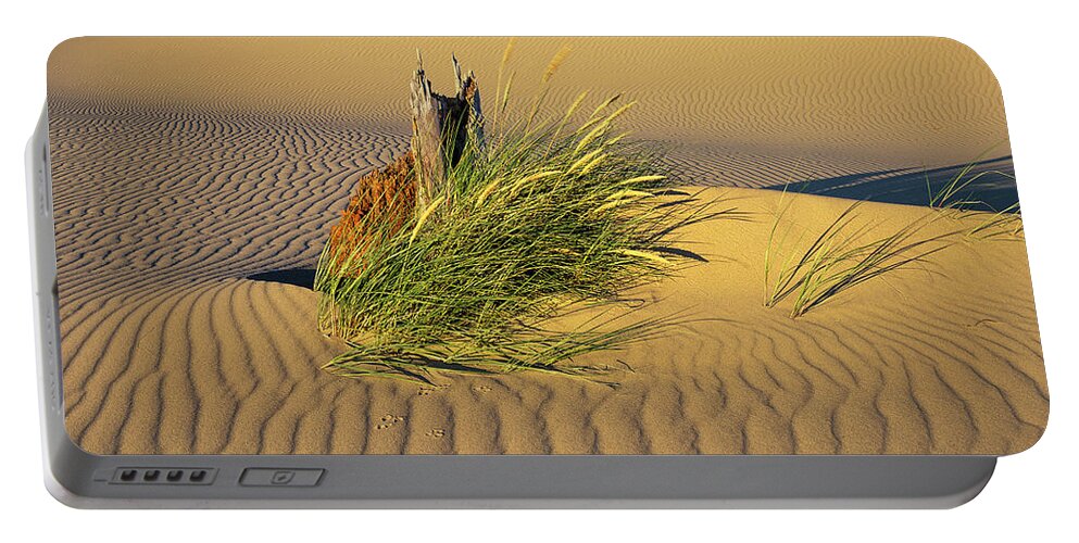 Beach Grass Portable Battery Charger featuring the photograph Beachgrass and Ripples by Robert Potts
