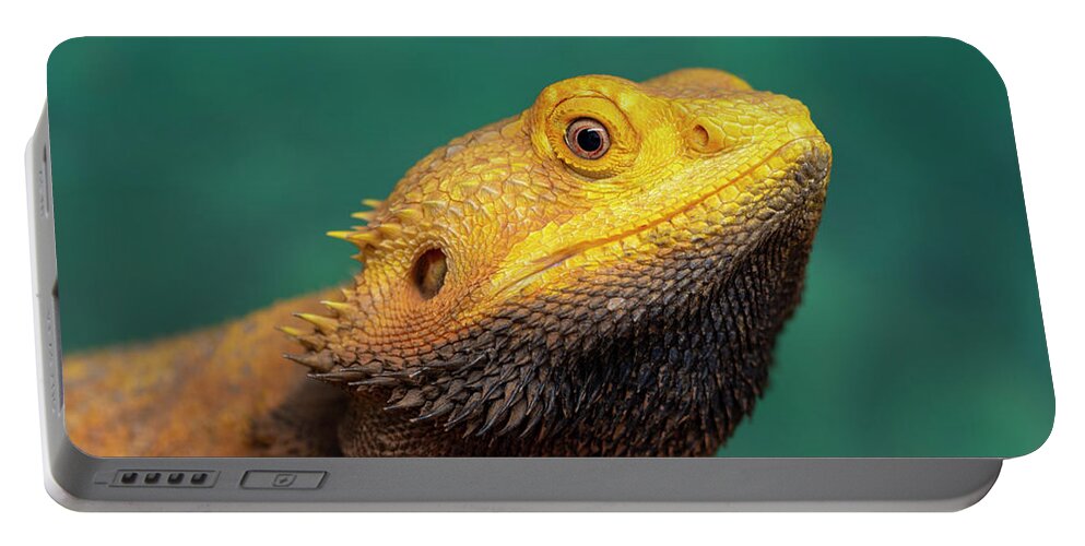 Bearded Dragon Portable Battery Charger featuring the photograph Bearded Dragon 2 by Steev Stamford