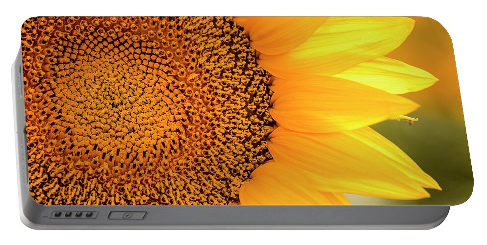 Colorado Portable Battery Charger featuring the photograph Beautiful Sunlit Sunflower Bloom by Teri Virbickis
