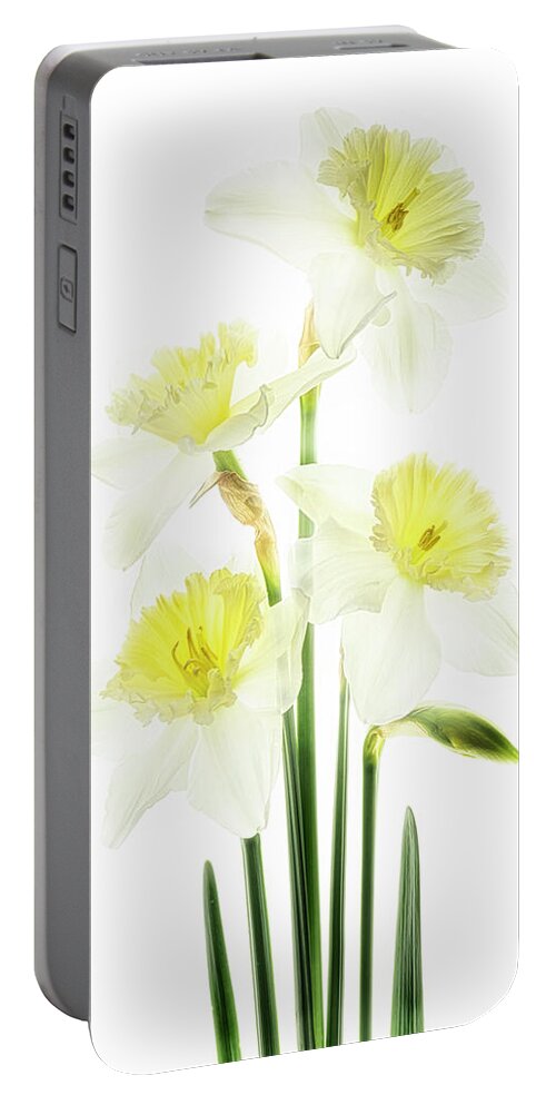 Spring Portable Battery Charger featuring the photograph Beauty of Daffodils by Usha Peddamatham