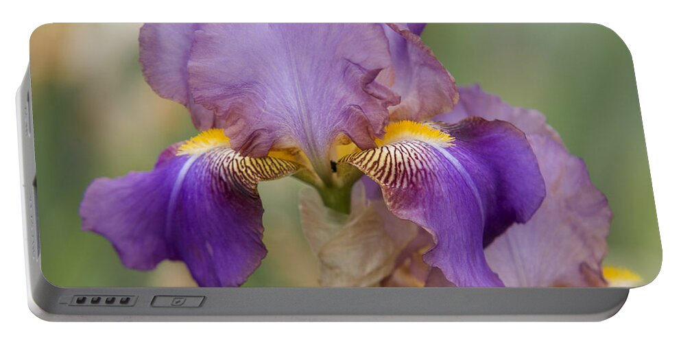 Jenny Rainbow Fine Art Photography Portable Battery Charger featuring the photograph Beauty of Irises. Frau Musika 1 by Jenny Rainbow