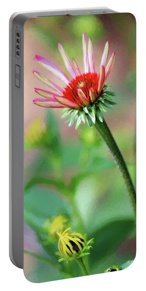 Flower Portable Battery Charger featuring the photograph Beginning to Bloom by Carol Montoya