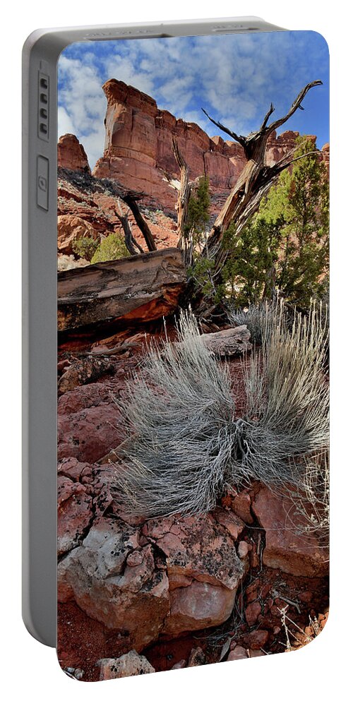 Valley Of The Gods Portable Battery Charger featuring the photograph Beneath Towering Buttes in Valley of the Gods by Ray Mathis