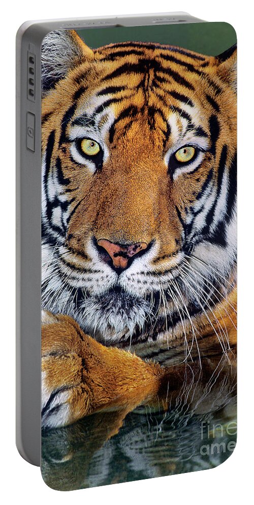 Bengal Tiger Portable Battery Charger featuring the photograph Bengal Tiger Portrait Endangered Species Wildlife Rescue by Dave Welling